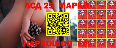 мдпв Лесосибирск