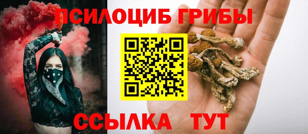 Галлюциногенные грибы Psilocybe  Вход с VPN  Вязники  Галлюциногенные грибы Psilocybine cubensis 
